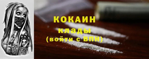 индика Балахна