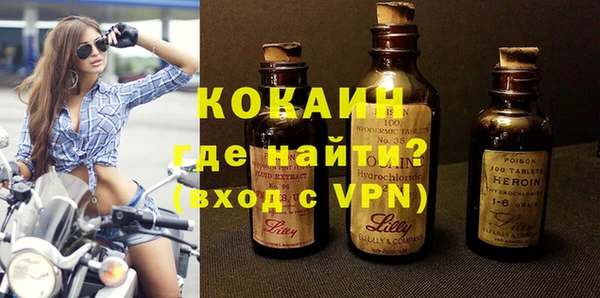 индика Балахна