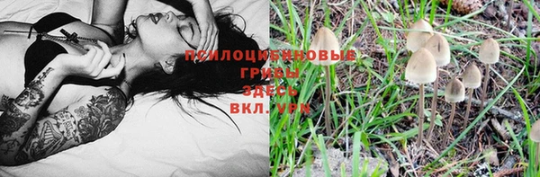 прущие крисы Балабаново